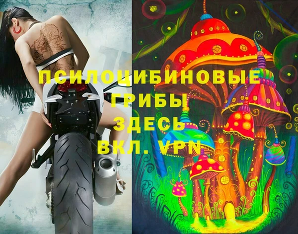 индика Алексин
