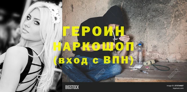 индика Алексин