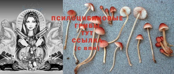 экстази Абинск