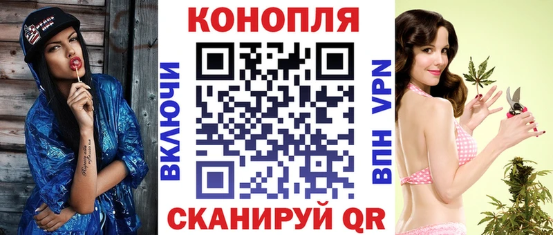 Бошки марихуана сатива  купить  цена  Новосибирск 